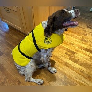 Yellow Dog Life Jacket Large